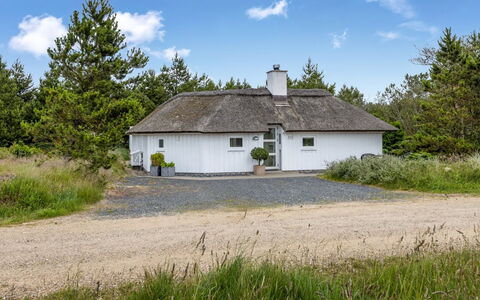 Pihla - 1.1Km from the Sea: Blauw, Struik, Verblijf, Groundcover, Tuin, Landgoed, Schaduw, Landscaping, Boerderij, Eco Hotel