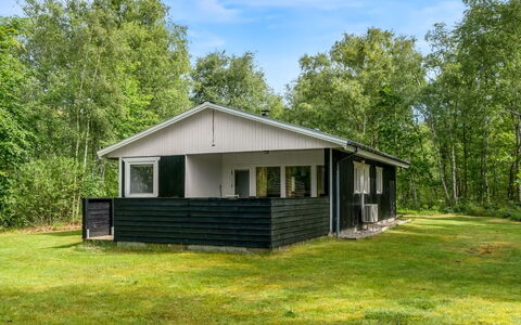 Lonneke - 800M from the Sea: Gras, Grasland, Land Lot, Verblijf, Landelijk Gebied, Weide, Garden Gebouwen, Tuin, Schuur