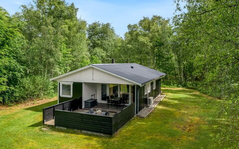 Lonneke - 800M from the Sea: Gras, Grasland, Land Lot, Verblijf, Landelijk Gebied, Weide, Garden Gebouwen, Tuin, Schuur