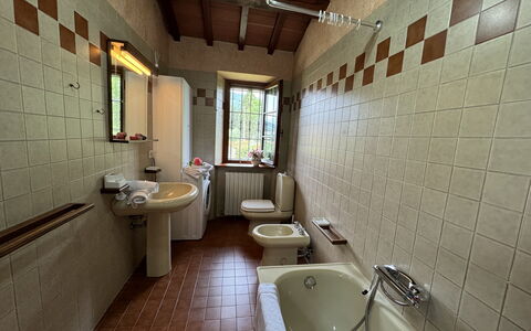 Pinocchio: Kraan, Loodgieterswerkinrichting, Spiegel, Wastafel, Badkamer, Bad, Interieur Ontwerp, Verdieping, Venster, Hout