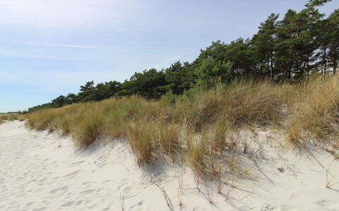 Auvo - 200M from the Sea: Hout, Dak, Architectuur, Huis, Huis, Verblijf, Siding, Hardwood, Helling, Landgoed