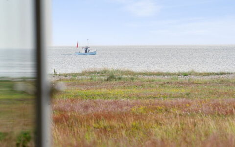 Susana - 50M from the Sea: Zwembad, Buitenmeubels, Meubilair, Toevlucht, Flagstone, Eco Hotel, Schaduw, Stoel, Vrije Tijd, Landgoed