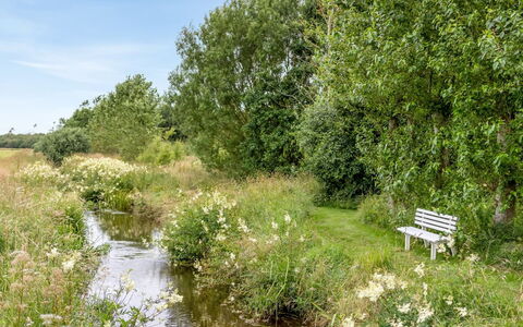 Saran - 30Km from the Sea: Blauw, Struik, Verblijf, Groundcover, Tuin, Landgoed, Schaduw, Landscaping, Boerderij, Eco Hotel