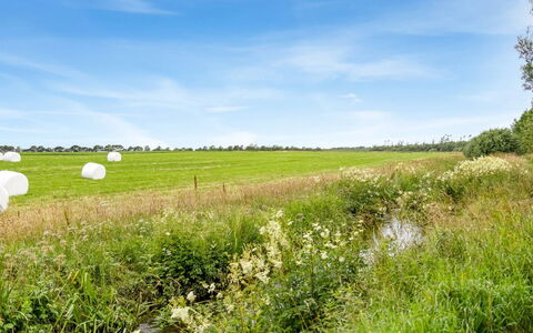 Saran - 30Km from the Sea: Blauw, Struik, Verblijf, Groundcover, Tuin, Landgoed, Schaduw, Landscaping, Boerderij, Eco Hotel