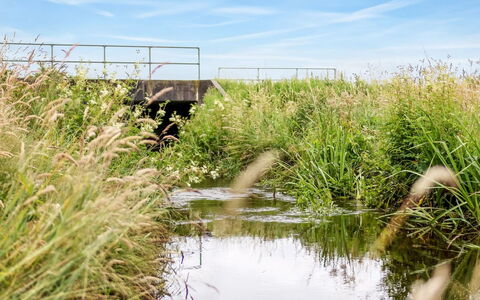 Saran - 30Km from the Sea: Blauw, Struik, Verblijf, Groundcover, Tuin, Landgoed, Schaduw, Landscaping, Boerderij, Eco Hotel