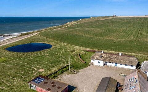 Vili - 100M from the Sea: Gras, Grasland, Plain, Land Lot, Landschap, Landelijk Gebied, Verblijf, Veld, Pasture, Weide