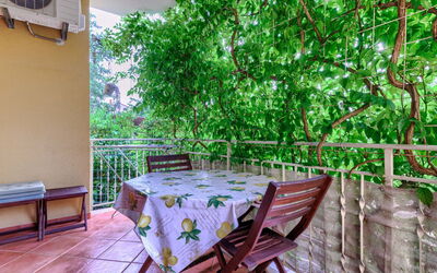 Accommodatie:&nbsp;Amaii 309.1