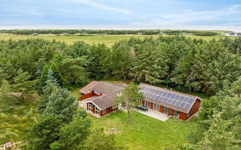 Aisling - 700M from the Sea: Blauw, Struik, Verblijf, Groundcover, Tuin, Landgoed, Schaduw, Landscaping, Boerderij, Eco Hotel