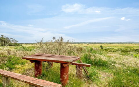 Aisling - 700M from the Sea: Blauw, Struik, Verblijf, Groundcover, Tuin, Landgoed, Schaduw, Landscaping, Boerderij, Eco Hotel
