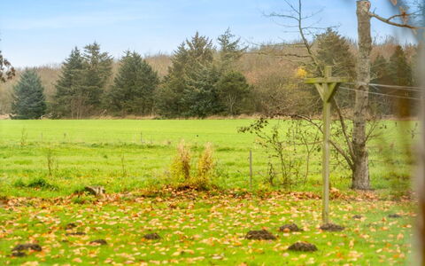 Thorgot - 3Km from the Sea: Groen, Gras, Blad, Natuurlijke Omgeving, Grasland, Natuurlijk Landschap, Plain, Pasture, Land Lot, Weide