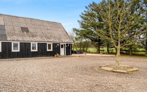 Thorgot - 3Km from the Sea: Dak, Verblijf, Huis, Boerderij, Siding, Schuur, Schuur