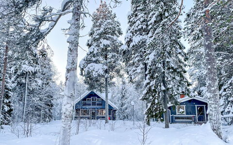Villa Wirtanen: Sneeuw, Winter, Boom, Afdeling, Hout, Huis, Verblijf, Huis, Freezing, Takje