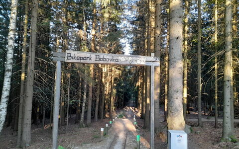 Desná V Jizerských Horách 841: Fabriek, Natuurlijk Landschap, Hout, Trunk, Biome, Doorgang, Boom, Plantendiversiteit, Landschap, Vergankelijk