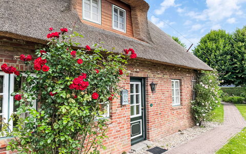 Laerchenshus: Fabriek, Bloem, Gebouw, Venster, Eigendom, Wolk, Huis, Lucht, Verblijf, Metselwerk