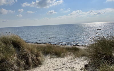 Sunita - 300M from the Sea