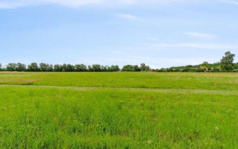 Simon - 1Km from the Sea: Thatching, Verblijf, Huis, Dak, Huis, Boerderij, Hut, Landgoed, Dorp