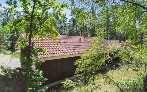 Nea - 600M from the Sea: Boom, Blad, Gras, Hout, Vegetation, Struik, Landelijk Gebied, Plantengemeenschap, Land Lot