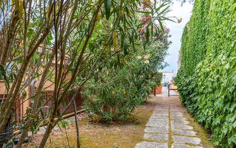 Fano Suite Apartment: Fabriek, Plantendiversiteit, Gras, Natuurlijk Landschap, Weg Oppervlak, Struik, Boom, Arecales, Lucht, Landschap
