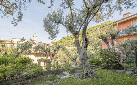 Pieve Ligure Seaside View, Wifi: Blad, Afdeling, Vegetation, Struik, De Lente, Takje, Tuin, Landgoed, Werf, Landscaping