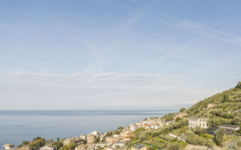 Pieve Ligure Seaside View, Wifi: Blauw, Water, Gebouw, Woongebied, Horizon, Kust, Zee, Zomer, Kust En Oceanic Landvormen, Huis