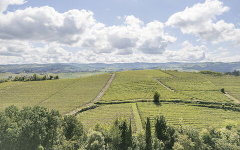 Arpusè, Relax nelle Langhe - Barolo, with Pool: Natuurlijk Landschap, Landbouw, Plantage, Veld, Heuvel, Hoogland, Plain, Landschap, Grasland, Landelijk Gebied