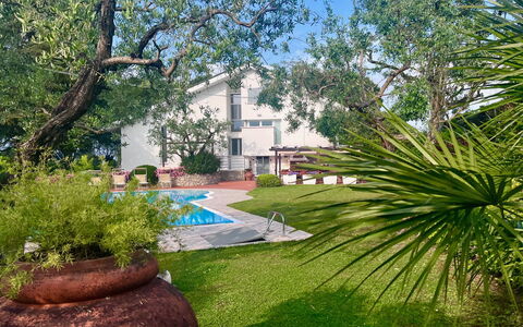 Villapronti: Fabriek, Gebouw, Natuurlijk Landschap, Boom, Plantkunde, Bloempot, Lucht, Architectuur, Land Lot, Vegetation