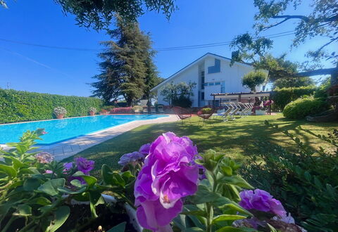 Villapronti: Bloem, Fabriek, Lucht, Plantengemeenschap, Plantkunde, Blad, Purper, Vegetation, Natuurlijk Landschap, Petal