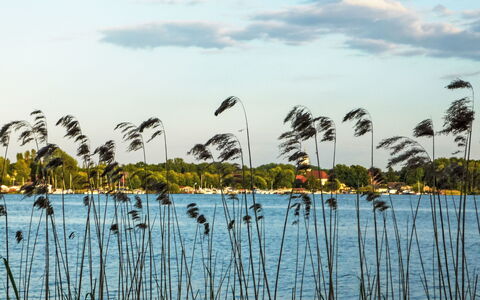 Bootshaus auf Dem See: Meer, Moeras, Reservoir, Reflectie