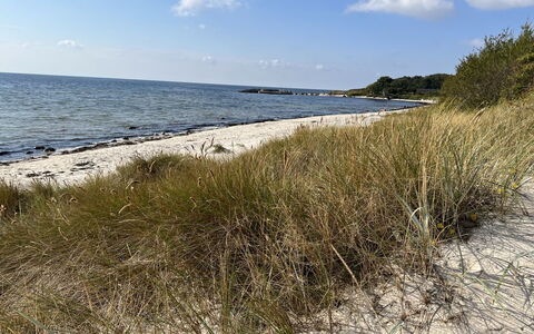 Eirik - 700M from the Sea: Hout, Huis, Veranda, Dek, Hardwood, Dak, Beits, Houten Vloer, Eco Hotel