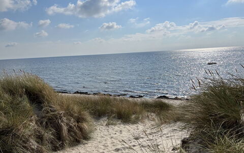 Eirik - 700M from the Sea: Hout, Huis, Veranda, Dek, Hardwood, Dak, Beits, Houten Vloer, Eco Hotel
