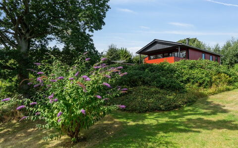 Makrina - 150M from the Sea: Struik, Tuin, Verblijf, Groundcover, Gazon, Werf, Garden Gebouwen, Boerderij, Landscaping, Backyard