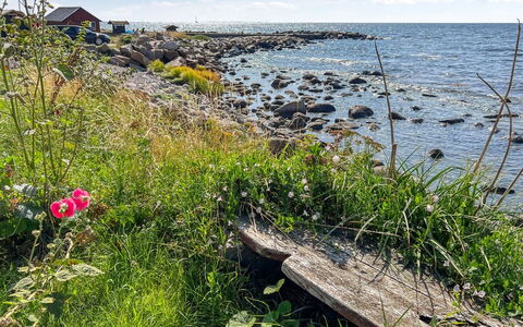 Malila - 15M from the Sea: Hout, Dak, Architectuur, Huis, Huis, Verblijf, Siding, Hardwood, Helling, Landgoed