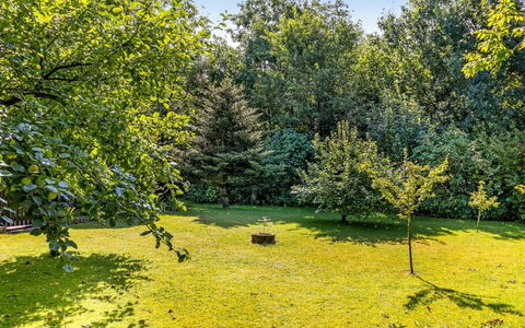 Berner - 30Km from the Sea: Groen, Blad, Geel, Natuur, Gras, Boom, Natuurlijke Omgeving, Afdeling, Vegetation, Struik