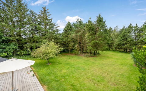 Ljiljana - 2Km from the Sea: Boom, Struik, Land Lot, Tuin, Gazon, Landscaping, Schaduw, Evergreen, Werf