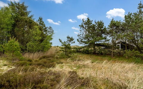 Kimi - 75M from the Sea: Bergachtig Landvormen, Berg, Heuvel, Bergketen, Heuvel Station, Menselijke Nederzetting, Stedelijk Ontwerp, Alpen, Vallei, Top