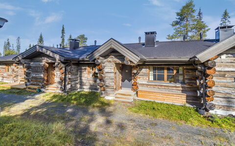 Kelokanerva: Dak, Verblijf, Huis, Blokhut, Siding, Lariks, Hut, Pine Family