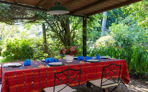 Il Giardino di Eugenia: Fabriek, Tafel, Meubilair, Schaduw, Buitenmeubels, Boom, Tafelkleed, Buitentafel, Stoel, Rechthoek
