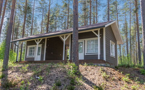 Kotaniemi: Hout, Verblijf, Huis, Siding, Blokhut, Bos, Woud, Garden Gebouwen, Hardwood, Veranda
