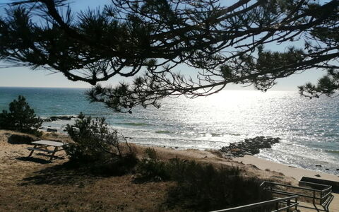 Yari - 50M from the Sea: Zwemwater, Hout, Horizon, Kust, Strand, Kust En Oceanic Landvormen, Zee, Zomer, Landschap, Kust