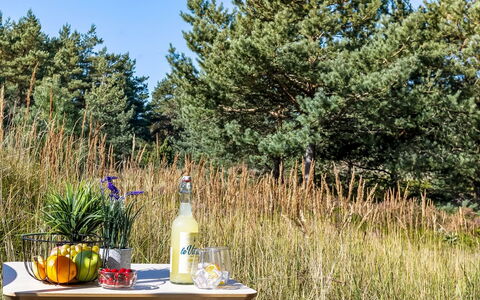 Dagny - 520M from the Sea: Rood, Tableware, Serveware, Drinkware, Dishware, Voedsel