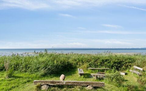 Nilson - 50M from the Sea: Gras, Hout, Landelijk Gebied, Struik, Verblijf, Dak, Plain, Land Lot, Huis, Groundcover