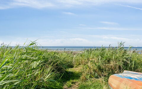 Nilson - 50M from the Sea: Gras, Hout, Landelijk Gebied, Struik, Verblijf, Dak, Plain, Land Lot, Huis, Groundcover