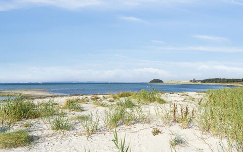 Nilson - 50M from the Sea: Gras, Hout, Landelijk Gebied, Struik, Verblijf, Dak, Plain, Land Lot, Huis, Groundcover