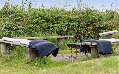 Nilson - 50M from the Sea: Gras, Hout, Landelijk Gebied, Struik, Verblijf, Dak, Plain, Land Lot, Huis, Groundcover