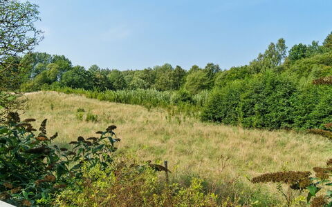Waldemar - 8Km from the Sea: Hout, Dak, Architectuur, Huis, Huis, Verblijf, Siding, Hardwood, Helling, Landgoed