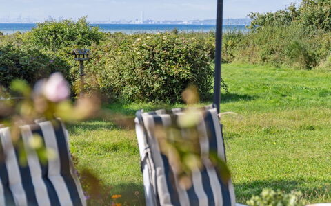Joella - 75M from the Sea: Dak, Huis, Huis, Verblijf, Siding, Landgoed, Oprit, Garden Gebouwen, Werf, Schuur