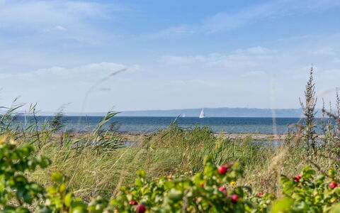 Joella - 75M from the Sea: Dak, Huis, Huis, Verblijf, Siding, Landgoed, Oprit, Garden Gebouwen, Werf, Schuur