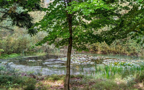 Vicente - 14Km to the Fjord: Blauw, Struik, Verblijf, Groundcover, Tuin, Landgoed, Schaduw, Landscaping, Boerderij, Eco Hotel