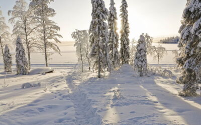 Villa Q - Kuusamo, Pohjois-Pohjanmaa, Finland