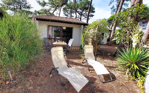 Mimizan 406: Struik, Buitenmeubels, Schaduw, Tuin, Stoel, Landscaping, Werf, Backyard, Ligstoel, Paraplu